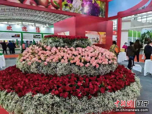 辽中农产品享誉第二十一届沈阳国际农业博览会